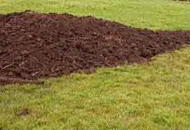 Cuide bem da grama cobrindo com terra antes da época fria em junho. Melhor preço por m2 na Real Gramas
