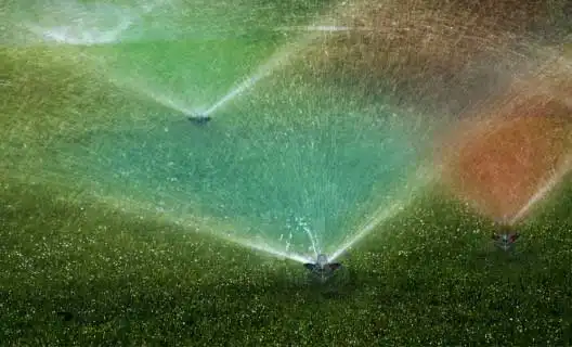 irrigação da grama esmeralda - Vitória ES