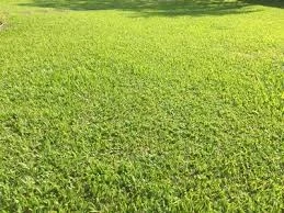 grama para campo de futebol em Limeira SP